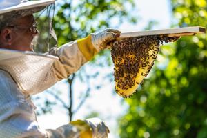 14th annual Indiana Agriculture Photograph Contes now accepting submissions