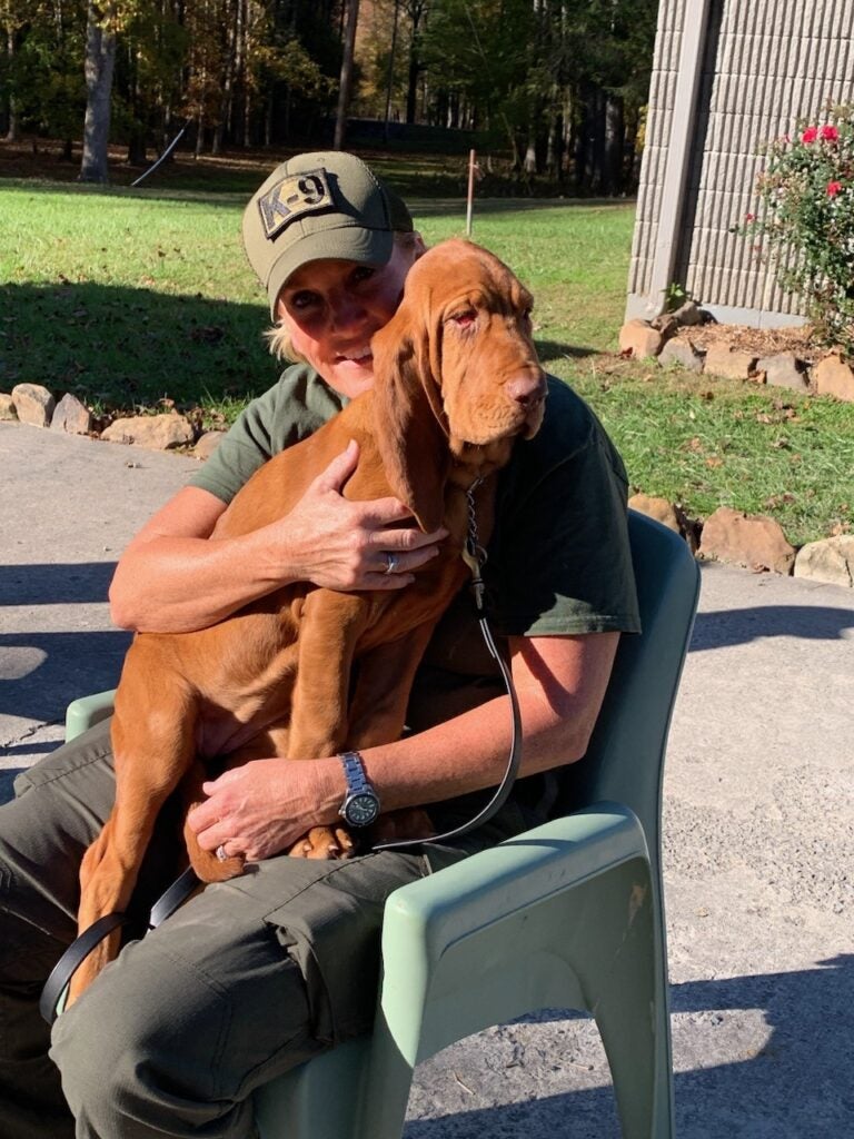 Ellie Mae debuts at Indiana sheriff’s workplace, replaces police canine who died of epilepsy