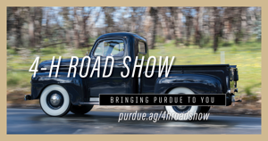 Mini 4-H Program Growing Strong