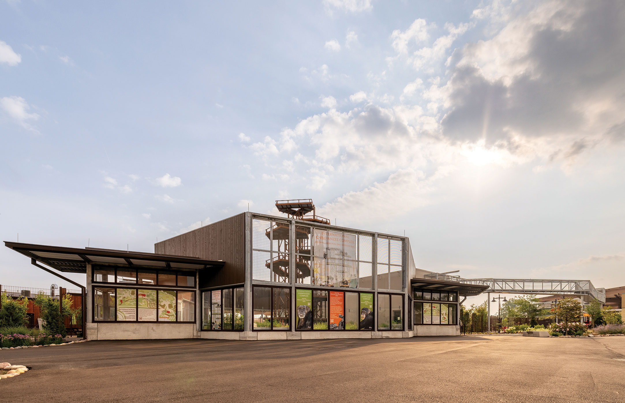 The Ticket: Great Apes