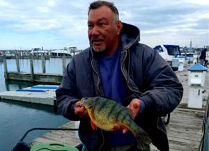 MARTINO: Is something in the water?